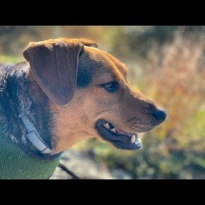 Meet your Posher, Cody